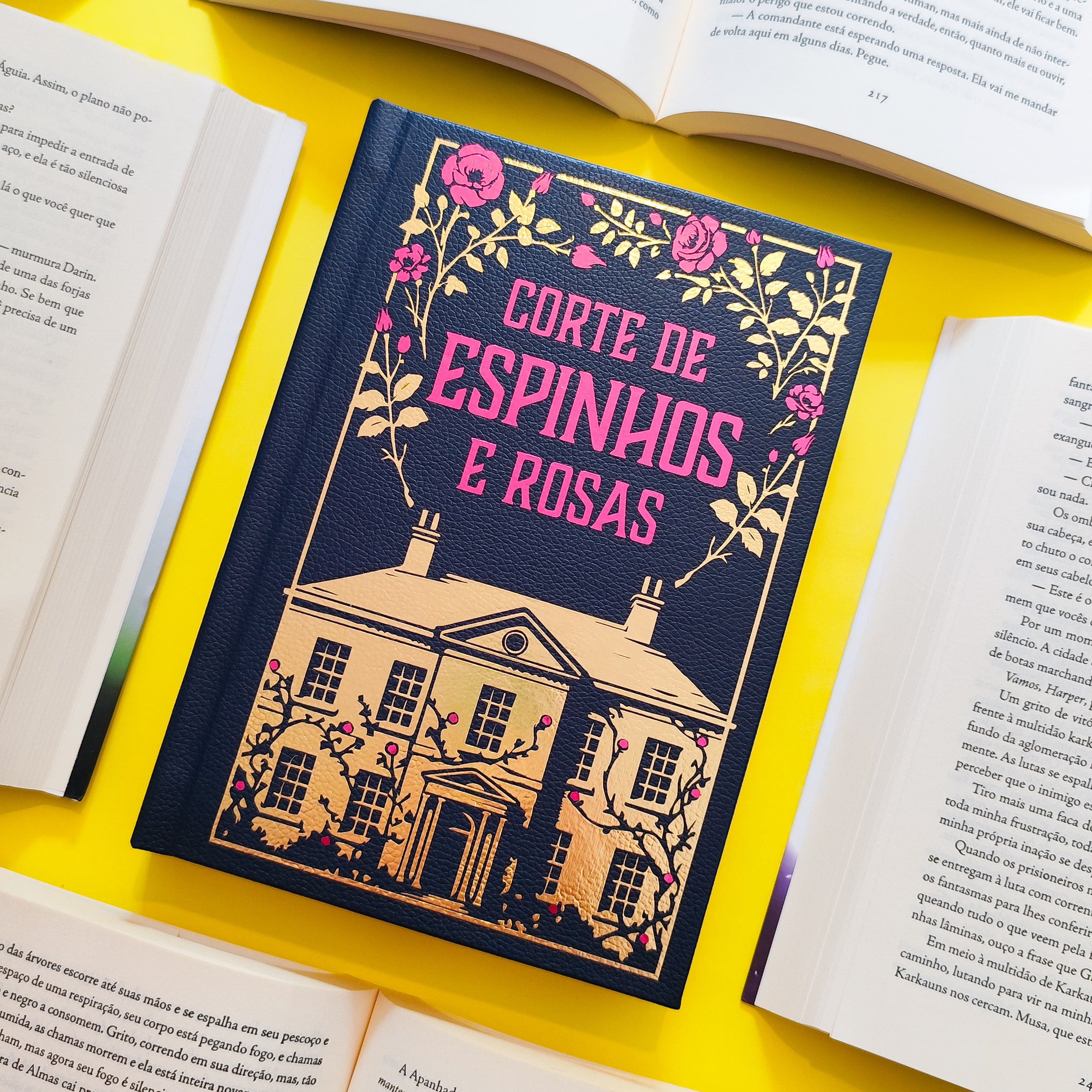 Corte de Espinhos e Rosas - Sarah J.Maas | Customizado Sob Demanda